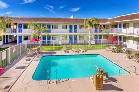 Day, On site, Pool view, Swimming pool, Time of day