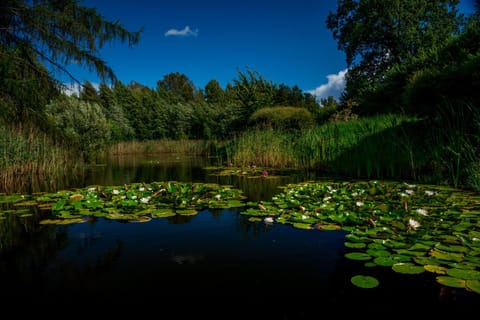 Natural landscape