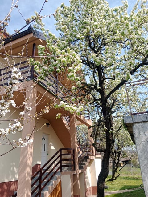 Apartmani Ostojic Apartment in Vojvodina