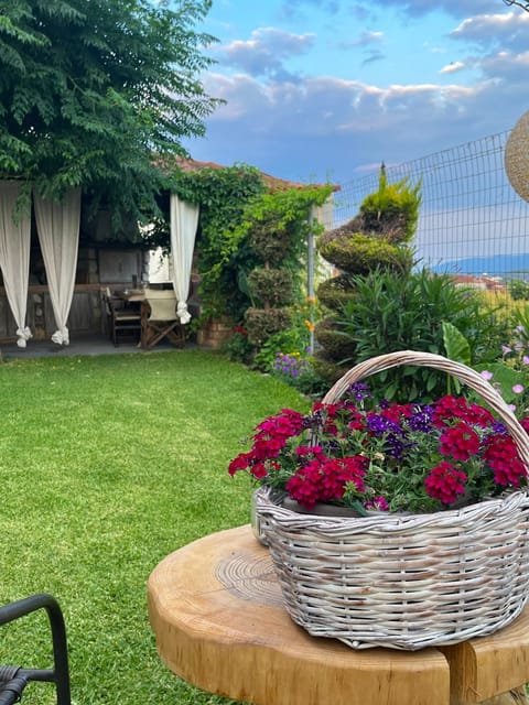 Patio, Spring, Day, Natural landscape, Garden, Garden view, Sea view