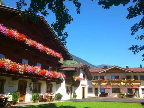 Facade/entrance, Summer