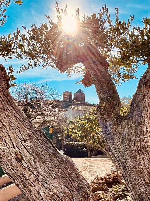 Nearby landmark, Spring, Garden, City view