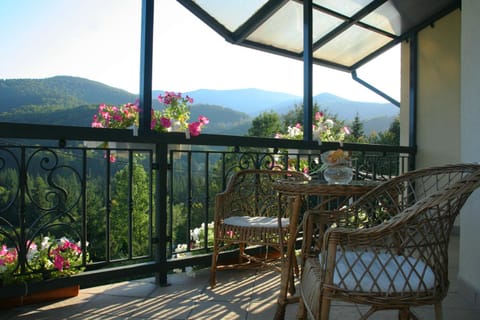 Balcony/Terrace, Mountain view