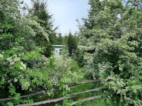 Property building, Spring, Day, Natural landscape, Garden, Garden view
