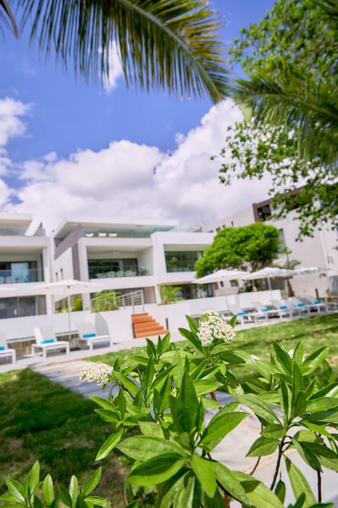 Property building, Garden