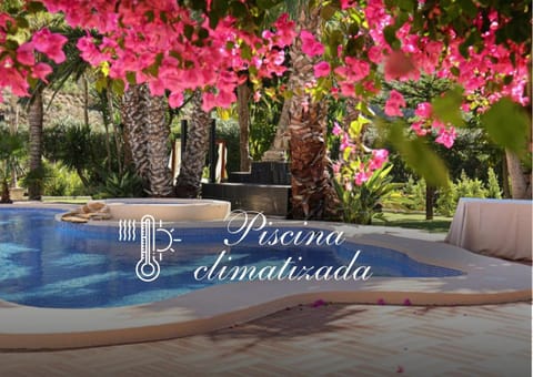 Garden, Swimming pool