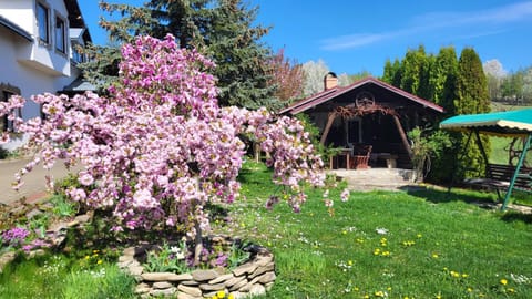 Spring