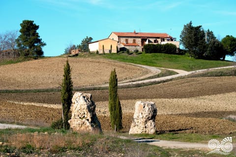 Natural landscape, Garden