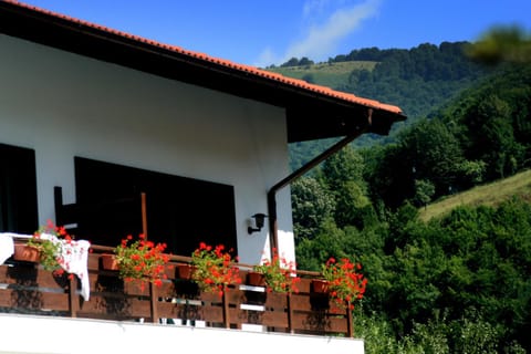 Day, Balcony/Terrace
