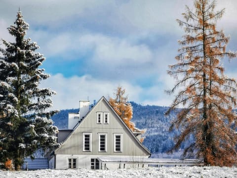 Property building, Winter