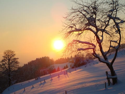 Haus Dreiländerblick Apartment in Vorarlberg, Austria