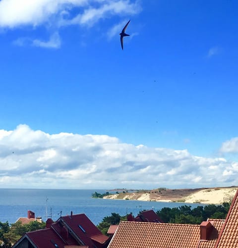 Neringa Apartment in Klaipėda County, Lithuania