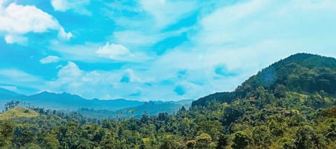 Day, Natural landscape, View (from property/room), Mountain view