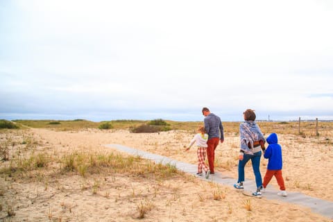 People, Beach, group of guests