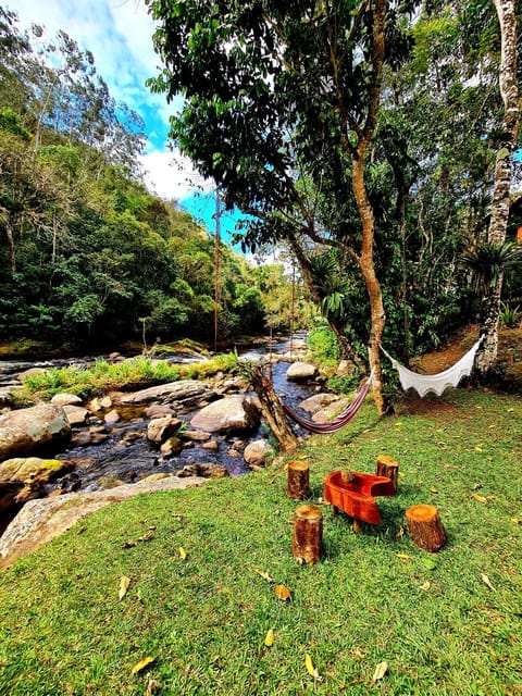 Natural landscape, Garden, Garden view