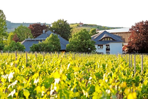 Property building, Natural landscape