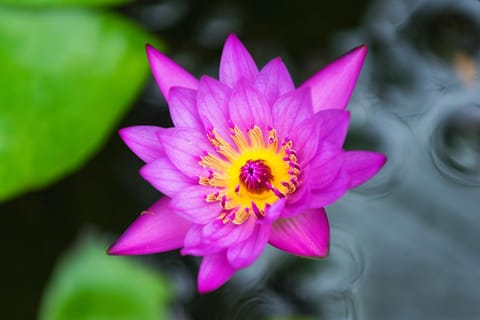 Hale Lani Lei House in Princeville