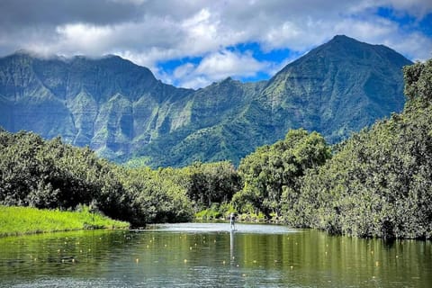 Hanalei Waterfalls House TVNC #5120 House in Hanalei