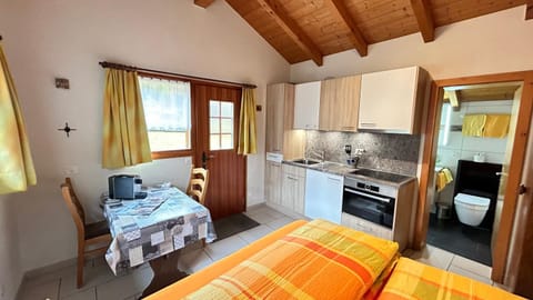 Chalet Stadel Apartment in Saas-Fee