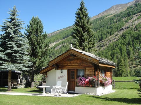 Chalet Stadel Apartment in Saas-Fee