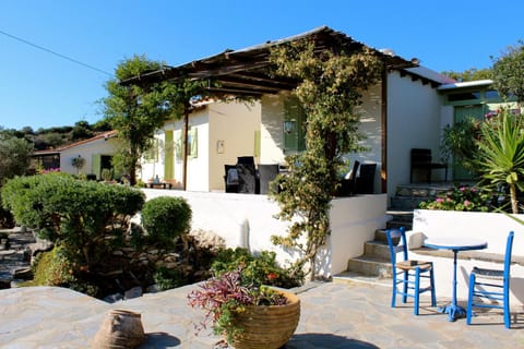 Patio, Dining area