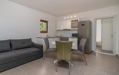 Kitchen or kitchenette, Living room, Seating area, Dining area