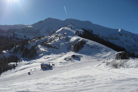 Natural landscape, Winter