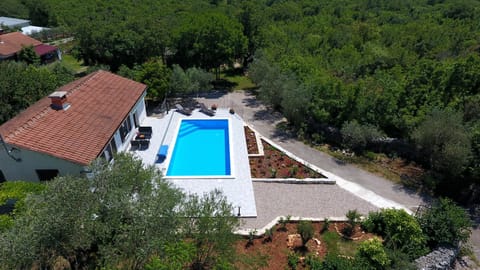 Property building, Natural landscape, Bird's eye view, Garden, Swimming pool, Swimming pool, sunbed