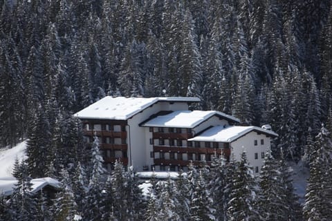 Facade/entrance, Bird's eye view