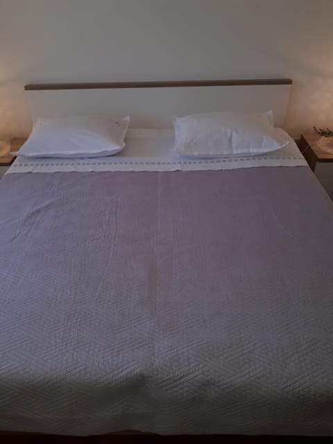 Apartment groundfloor Apartment in Dubrovnik-Neretva County