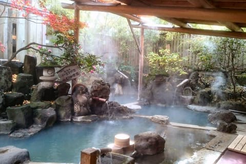 Hot Spring Bath, Open Air Bath, Public Bath