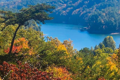 Light's Mountain Lake Overlook House in Blue Ridge Lake