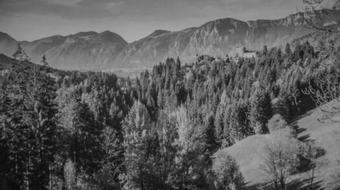 Haus Schrettl Hintergrünholz Apartment in Salzburgerland