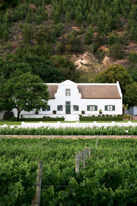Rickety Bridge Estate Country House in Franschhoek