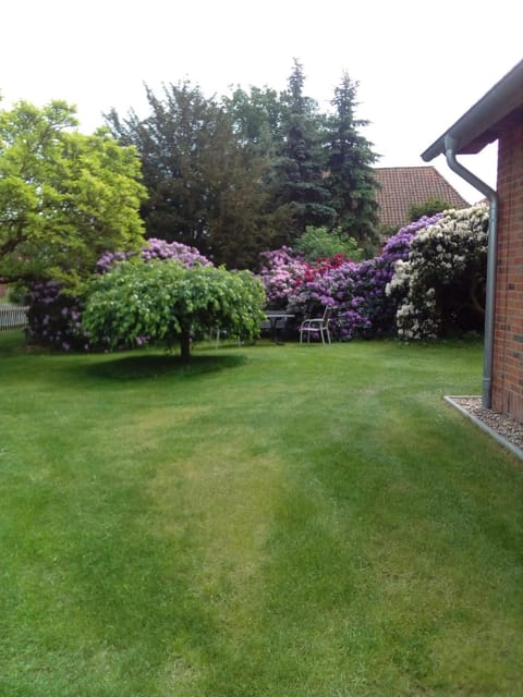 Natural landscape, Garden, Garden view