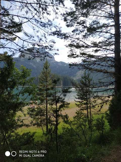 Vuk Popovic Bed and Breakfast in Montenegro