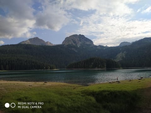 Vuk Popovic Bed and Breakfast in Montenegro