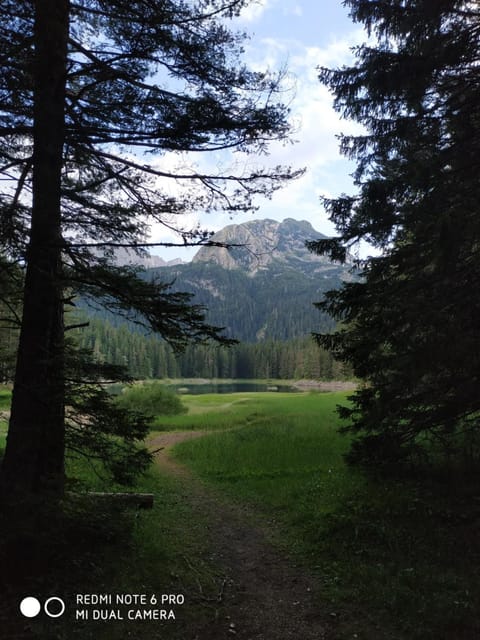 Vuk Popovic Bed and Breakfast in Montenegro