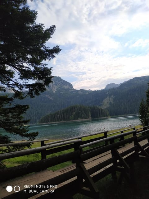 Vuk Popovic Bed and Breakfast in Montenegro