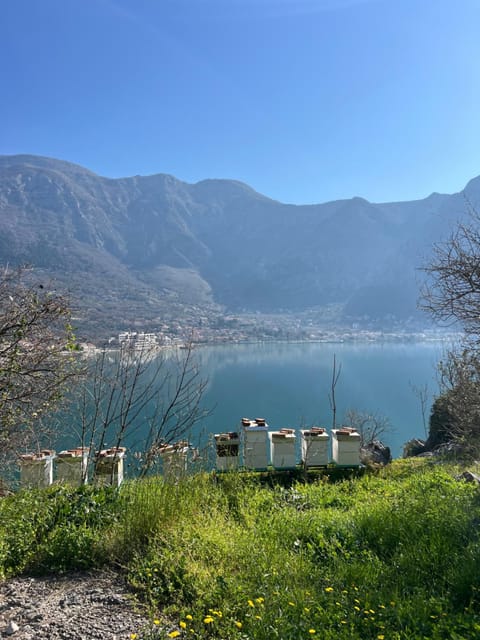 Apartments Sopot Bed and Breakfast in Kotor Municipality