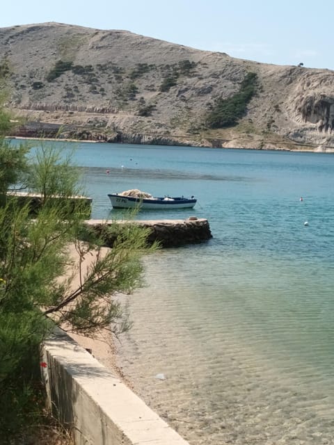 Apartmani Šikić Metajna Apartment in Zadar County