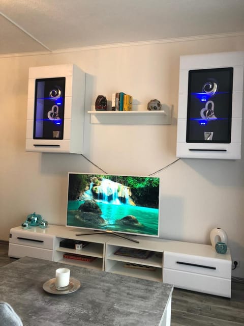 TV and multimedia