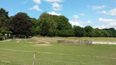 Natural landscape, View (from property/room)
