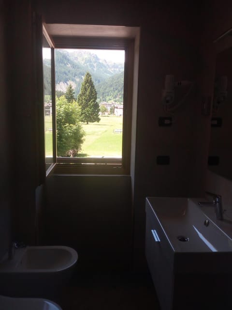 Hotel Stella Alpina Hotel in Pie' Falcade