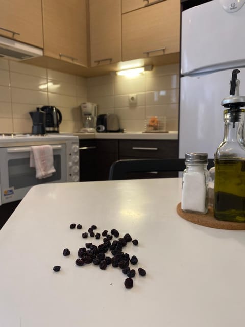 Bright and cozy apartment near the city center Apartment in Zakynthos