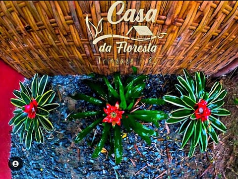 Logo/Certificate/Sign