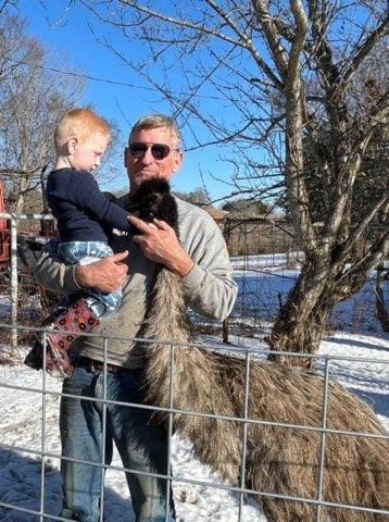 Cedar cabin located on a buffalo farm Cabin in Arkansas
