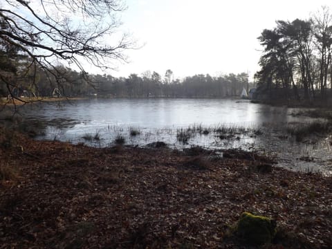 Vosseven 15 Haasje House in Limburg (province)