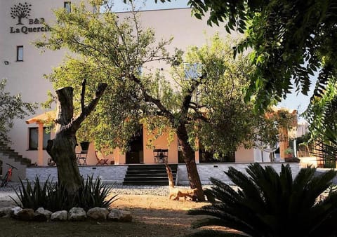 Property building, Garden, Garden