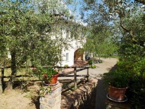 Property building, Garden view